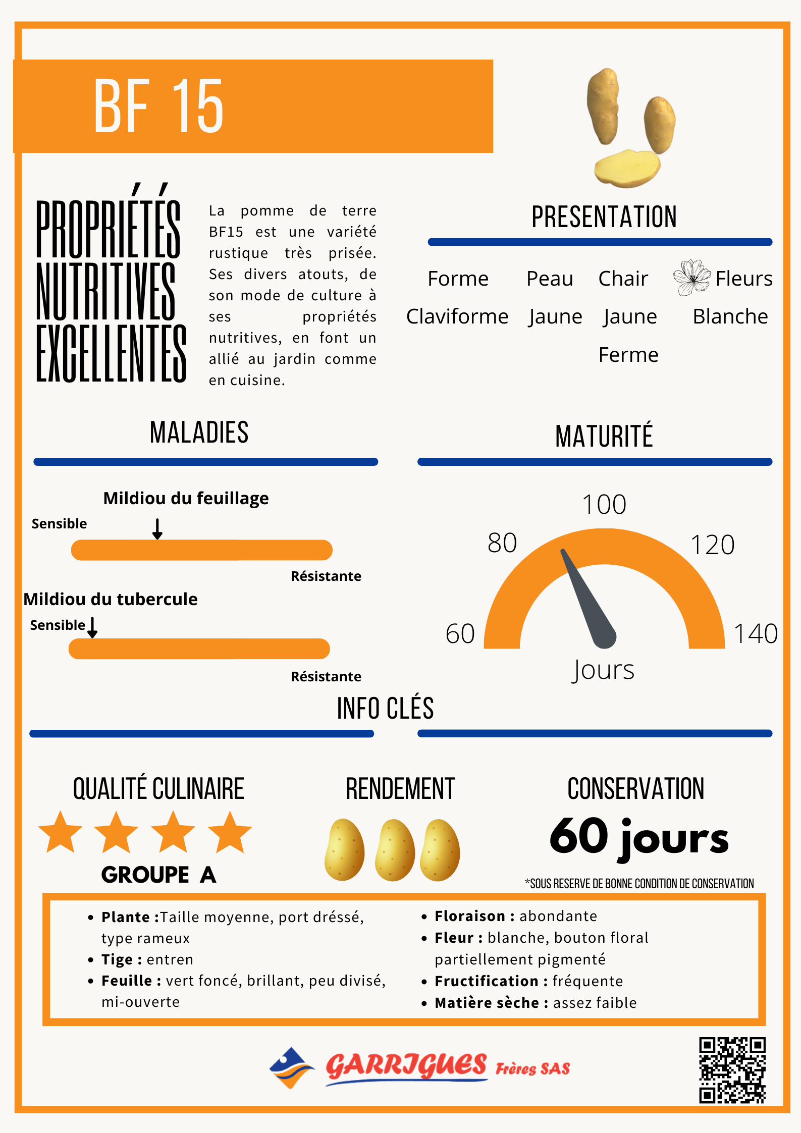 BF15 - la pomme de terre résistante et savoureuse - Garrigues Frères